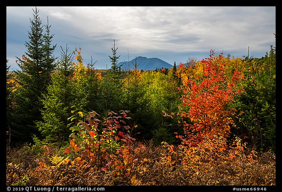 First view of Katahdin in autumn. Katahdin Woods and Waters National Monument, Maine, USA