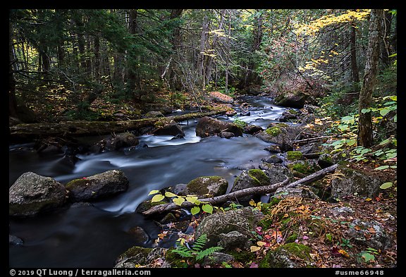 Hardwood forest and Katahdin Brook in autunm. Katahdin Woods and Waters National Monument, Maine, USA