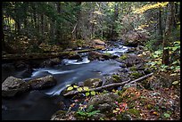 Hardwood forest and Katahdin Brook in autunm. Katahdin Woods and Waters National Monument, Maine, USA ( color)