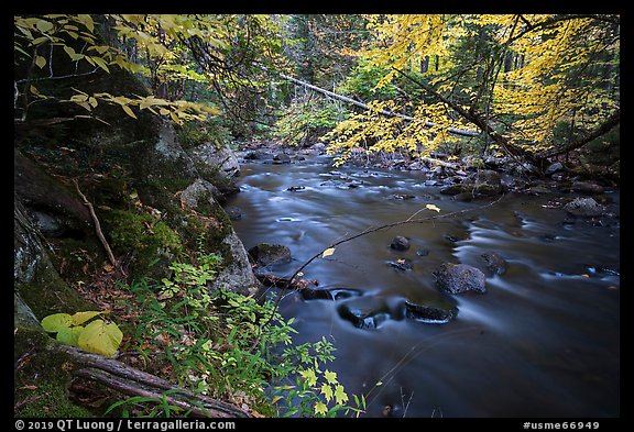 Katahdin Brook in autunm. Katahdin Woods and Waters National Monument, Maine, USA (color)