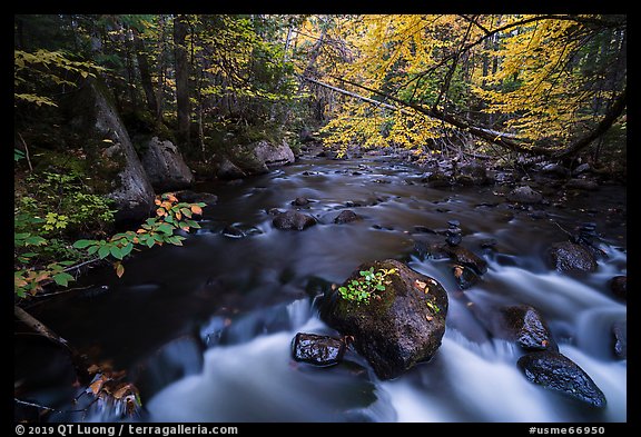 Cascade, Katahdin Brook. Katahdin Woods and Waters National Monument, Maine, USA
