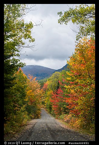 Road and mountain in autumn. Katahdin Woods and Waters National Monument, Maine, USA (color)