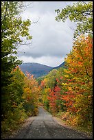 Road and mountain in autumn. Katahdin Woods and Waters National Monument, Maine, USA ( color)