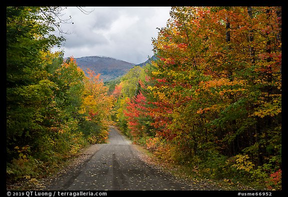 Messer Pond Road and mountain framed by trees in autumn foliage. Katahdin Woods and Waters National Monument, Maine, USA