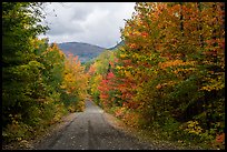 Messer Pond Road and mountain framed by trees in autumn foliage. Katahdin Woods and Waters National Monument, Maine, USA ( color)