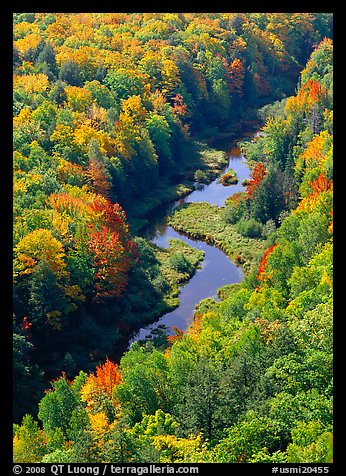 River and trees in autumn colors, Porcupine Mountains State Park. Upper Michigan Peninsula, USA (color)