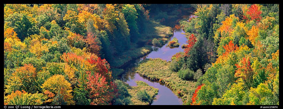 Forest in fall color and river from above. Upper Michigan Peninsula, USA (color)