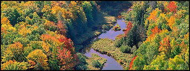 Forest in fall color and river from above. Upper Michigan Peninsula, USA (Panoramic color)