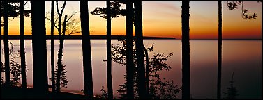 Sunset lakescape through trees, Lake Superior. Upper Michigan Peninsula, USA (Panoramic color)
