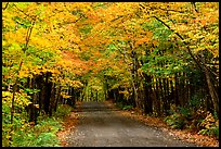 Rural road with fall colors, Hiawatha National Forest. Upper Michigan Peninsula, USA