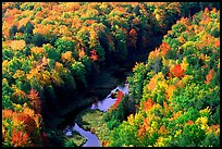 River and trees in autumn colors, Porcupine Mountains State Park. Upper Michigan Peninsula, USA