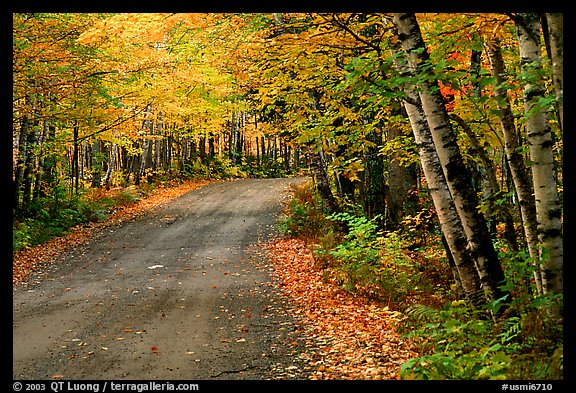 Rural road with fall colors, Hiawatha National Forest. Upper Michigan Peninsula, USA (color)