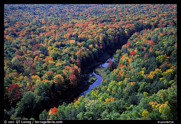 River and trees in autumn colors, Porcupine Mountains State Park. Upper Michigan Peninsula, USA (color)