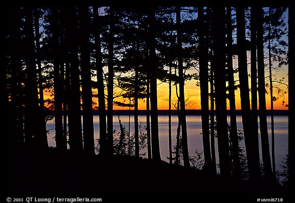 Lake Superior seen through dense trees at sunset,  Pictured Rocks National Lakeshore. Upper Michigan Peninsula, USA (color)