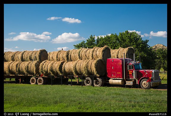 Truck loaded with hay rolls, Medora. North Dakota, USA