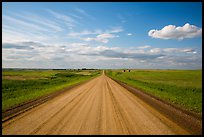 Gravel road in open prairie. North Dakota, USA (color)