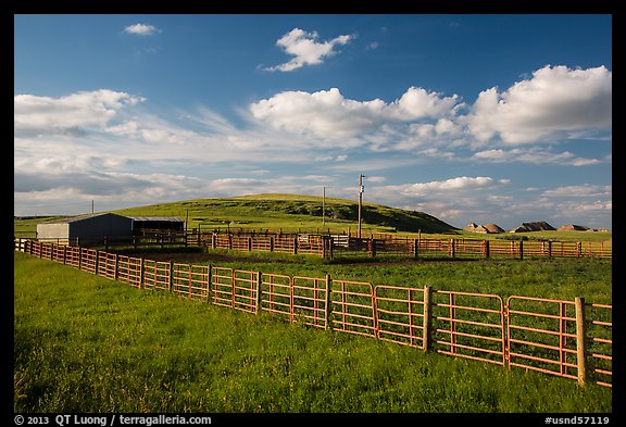 Cattle enclosure. North Dakota, USA (color)