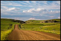 Gravel road, rolling hills and badlands. North Dakota, USA ( color)