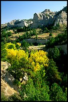 Trees and sandstone cliff. South Dakota, USA (color)