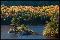 Islet on Beaver Pond in autumn, White Mountain National Forest. New Hampshire, USA (color)