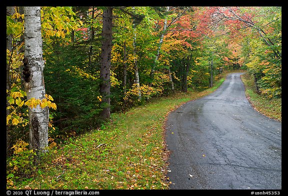 Rural road in autumn, White Mountain National Forest. New Hampshire, USA (color)