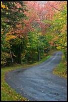 Rural road in the fall, White Mountain National Forest. New Hampshire, USA (color)