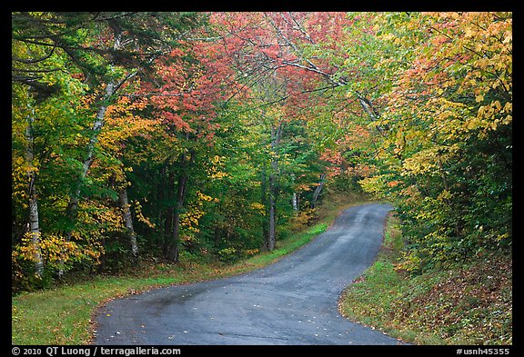 Country road in autumn, White Mountain National Forest. New Hampshire, USA