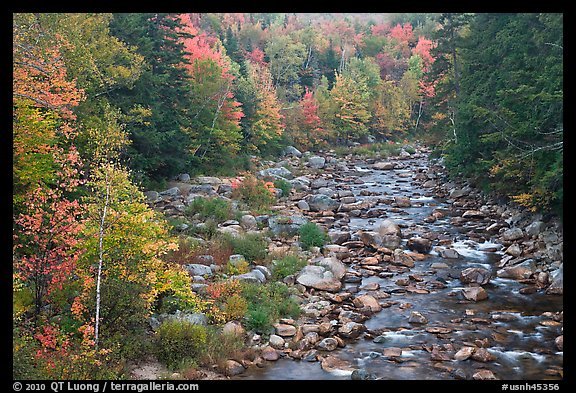 River in autumn, White Mountain National Forest. New Hampshire, USA
