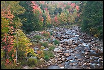 River in autumn, White Mountain National Forest. New Hampshire, USA (color)