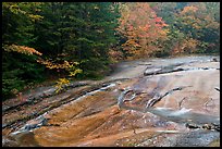 Stream over rock slab in autumn, Franconia Notch State Park. New Hampshire, USA ( color)