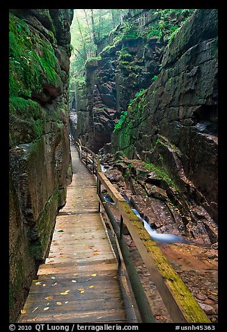Boardwalk in the Flume, Franconia Notch State Park. New Hampshire, USA (color)