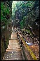 Boardwalk in the Flume, Franconia Notch State Park. New Hampshire, USA (color)