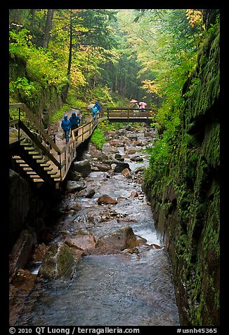 Flume gorge and hikers walking on boardwalk, Franconia Notch State Park. New Hampshire, USA (color)