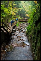 Flume gorge and hikers walking on boardwalk, Franconia Notch State Park. New Hampshire, USA ( color)