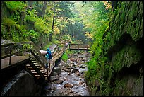 Rainy day at the Flume, Franconia Notch State Park. New Hampshire, USA (color)