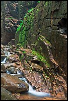 Flume brook at the base of granite and basalt walls, Franconia Notch State Park. New Hampshire, USA (color)