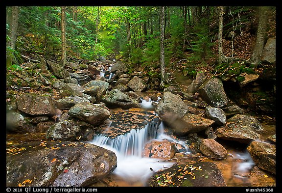 Creek in autumn, Franconia Notch State Park. New Hampshire, USA