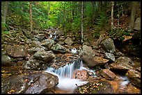 Creek in autumn, Franconia Notch State Park. New Hampshire, USA ( color)