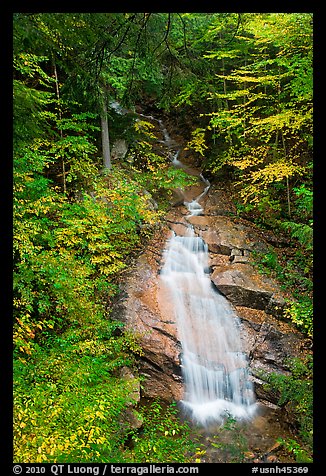 Avalanche Falls, Franconia Notch State Park. New Hampshire, USA