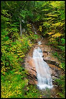 Avalanche Falls, Franconia Notch State Park. New Hampshire, USA (color)