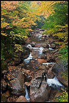 Cascading river in autumn, Franconia Notch State Park. New Hampshire, USA ( color)
