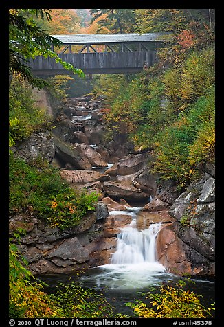 Covered bridge high above creek, Franconia Notch State Park. New Hampshire, USA