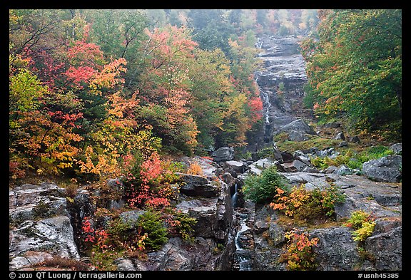 Cascading waterfall and autumn colors, Crawford Notch State Park. New Hampshire, USA (color)