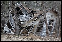 Ruined house in forest. New Hampshire, USA