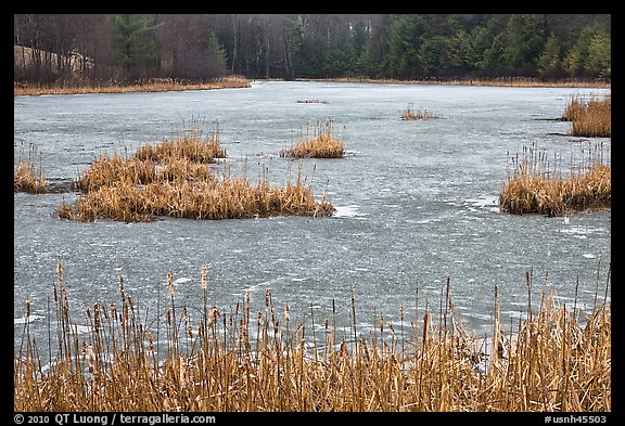 Frozen pond. Walpole, New Hampshire, USA