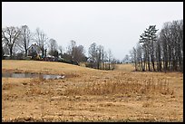 Rural scenery. Walpole, New Hampshire, USA (color)