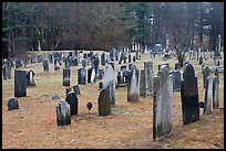 Old Slate headstones. Walpole, New Hampshire, USA (color)