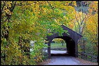 Covered bridge in autumn, Bath. New Hampshire, USA