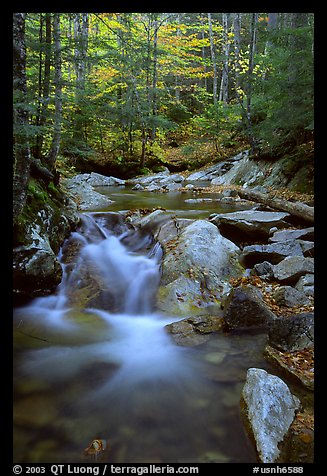 Stream in fall, Franconia Notch State Park. New Hampshire, USA