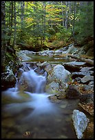 Stream in fall, Franconia Notch State Park. New Hampshire, USA (color)